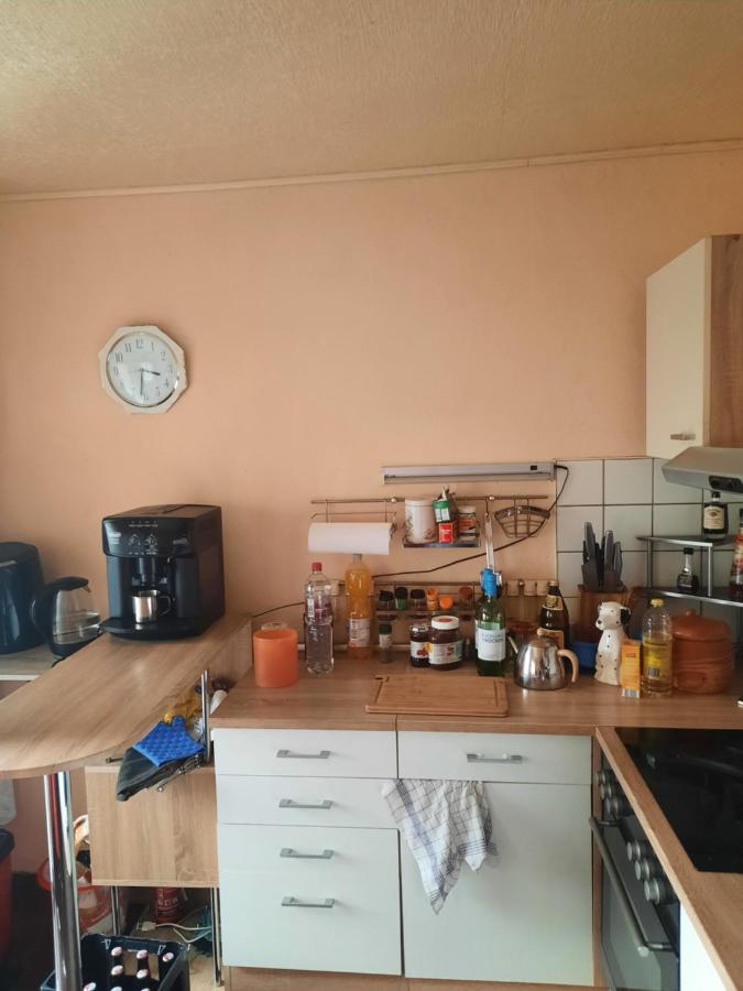 Haus Am Donatsturm Apartment Фрайберг Екстериор снимка
