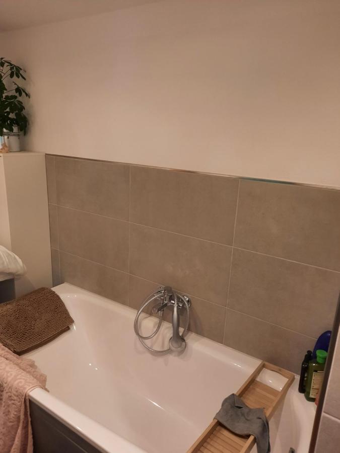 Haus Am Donatsturm Apartment Фрайберг Екстериор снимка